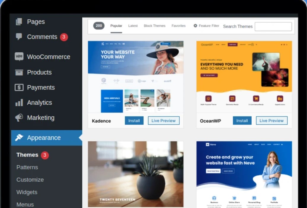 Web Design with WordPress